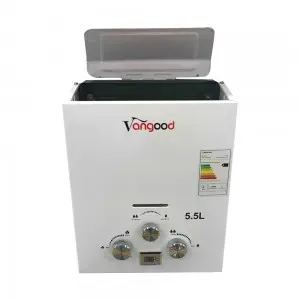 Professional China China Flue Type Tankless Instant Hot Natural Propane LPG Bathroom Shower Gas Water Heaters