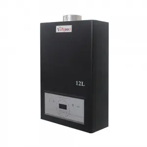 Domestic Instant Gas Water Heater For Spa And Pools