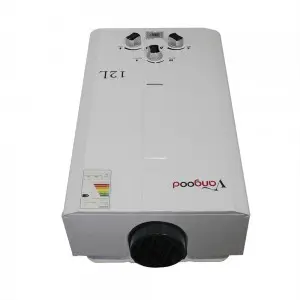 Flue Type Instant Gas Water Heater 12L For Whole House