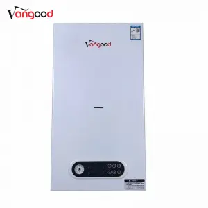 Popular Design for Hot Selling Wall Mounted Natural Gas Water Heater