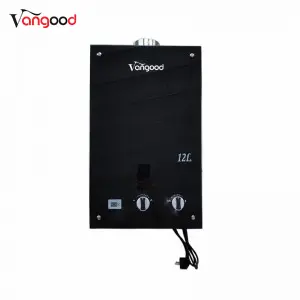 Quality Inspection for Chinese Manufacturer 6L 8L 10L with Raincap Portable Instant Gas Hot Water Heater System Tankless Gas Water Heaters